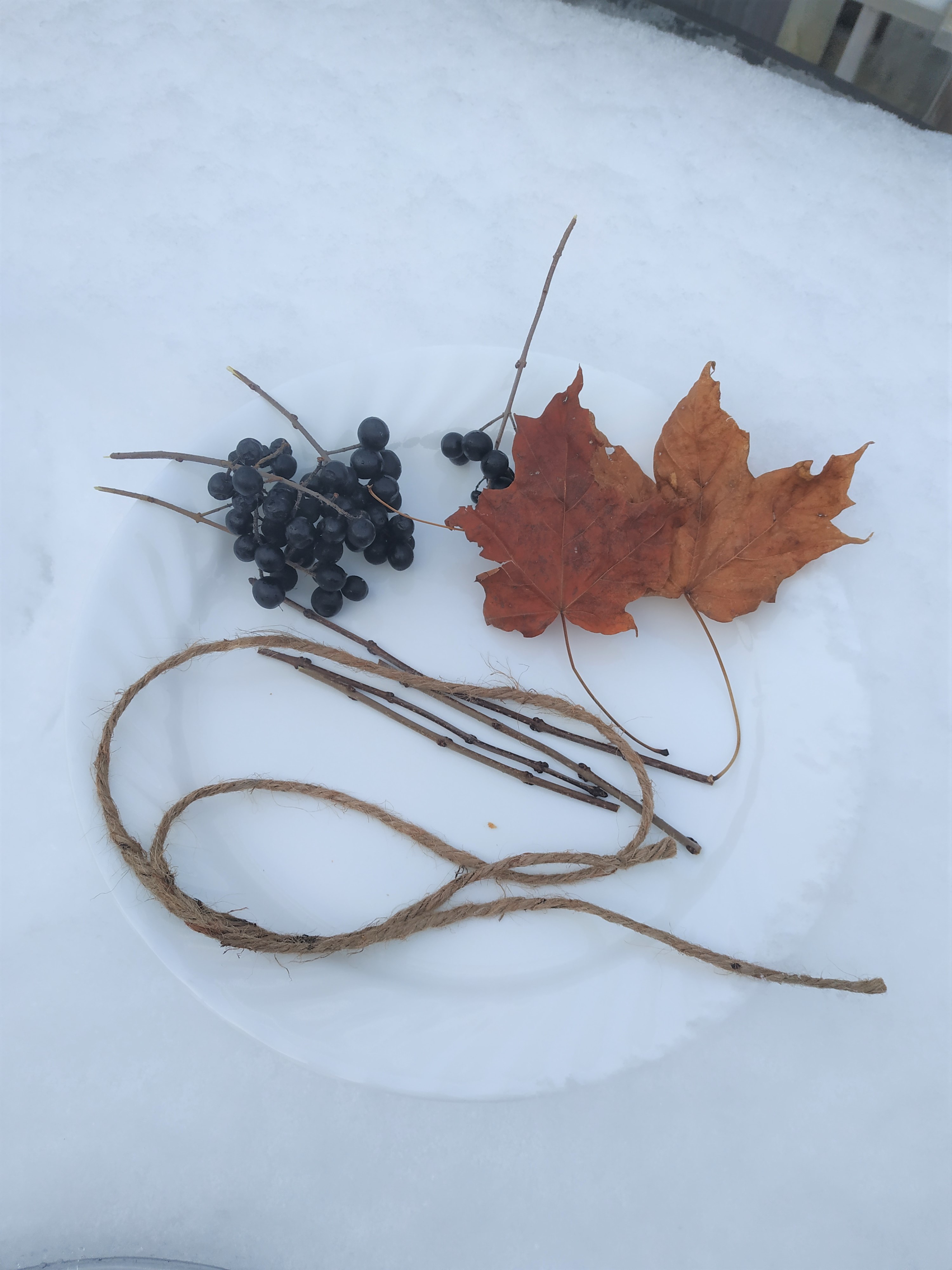 Nature materials on a plate with a piece of string.