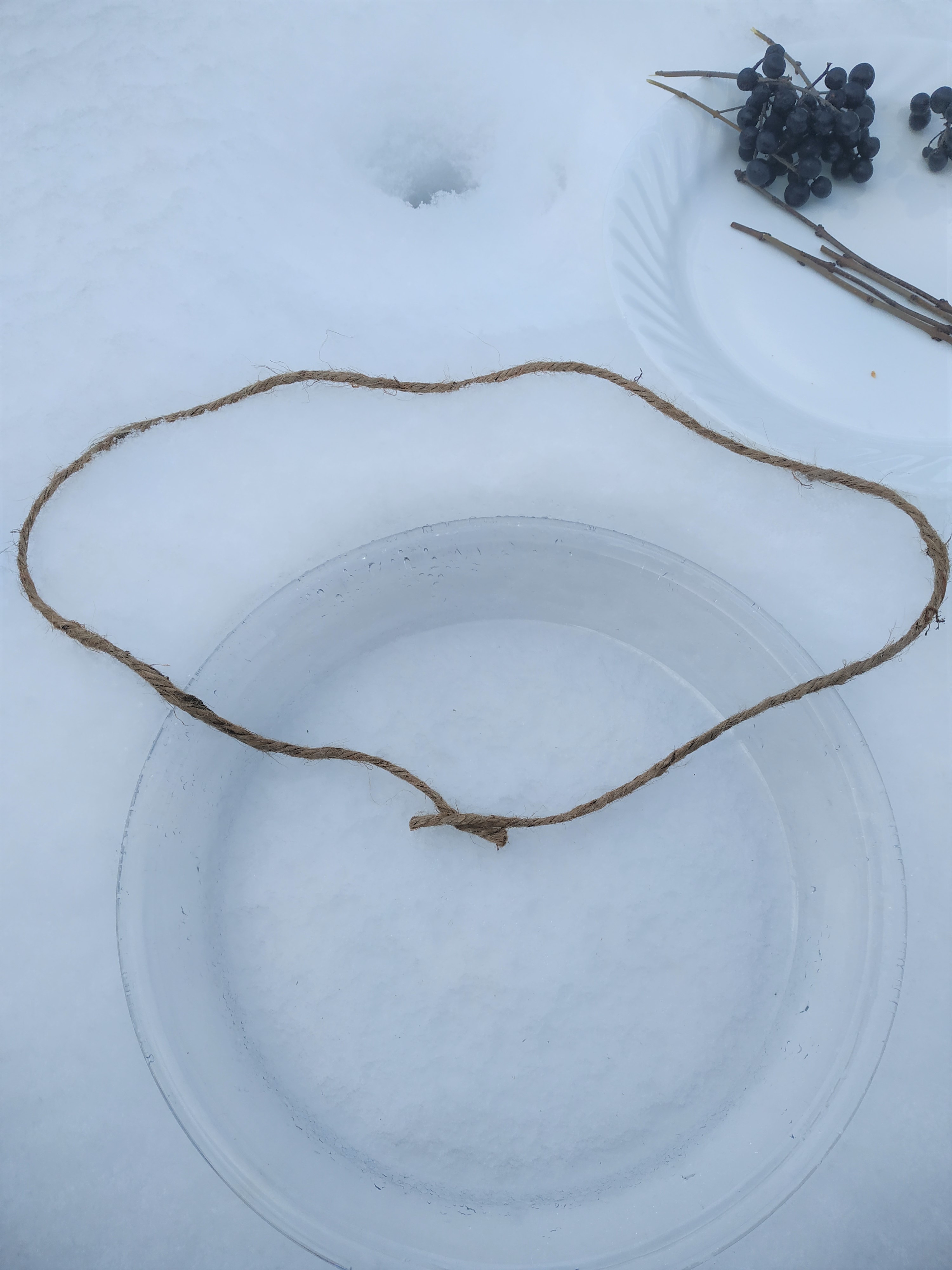 A glass bowl filled with water and a piece of string submerged.