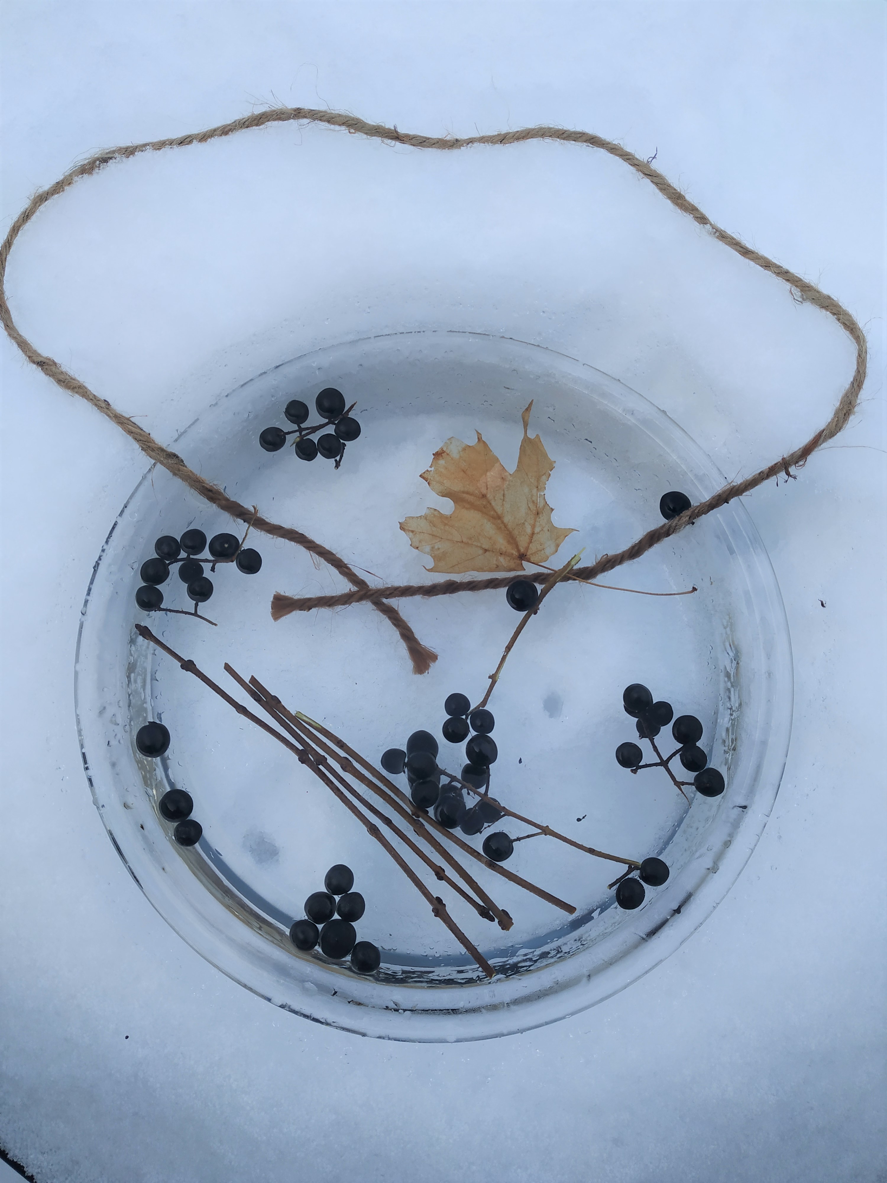 Adding berries, leaves and sticks to the water bowl.