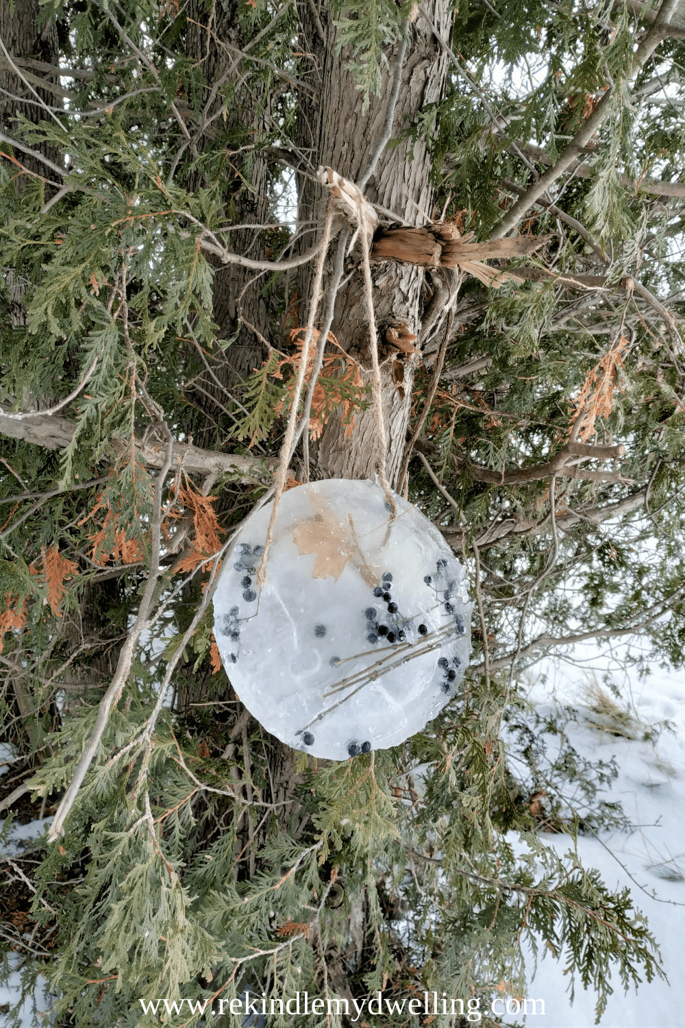 Ice sun catcher hanging on a tree branch.
