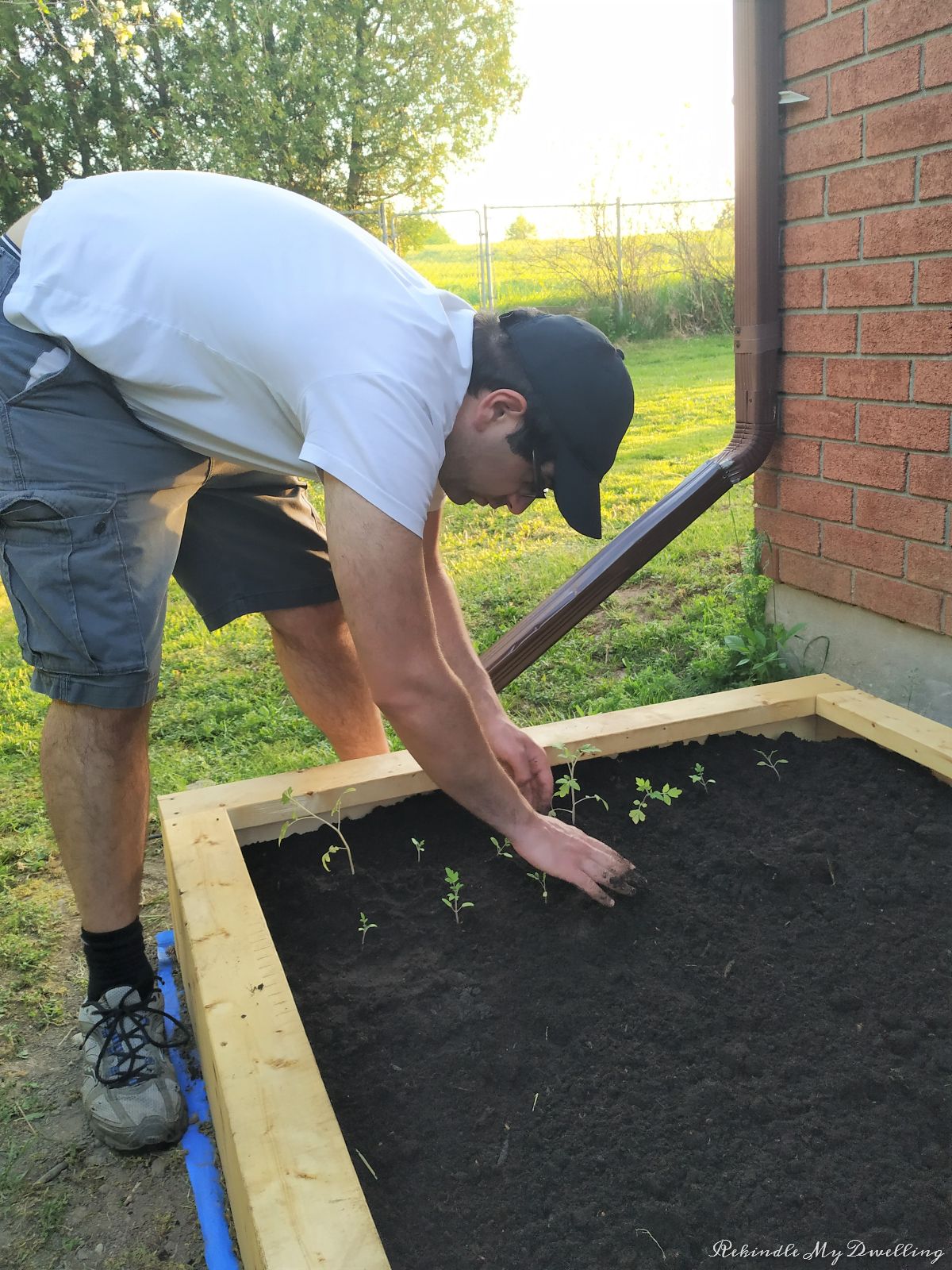 A man planting in a garden box.