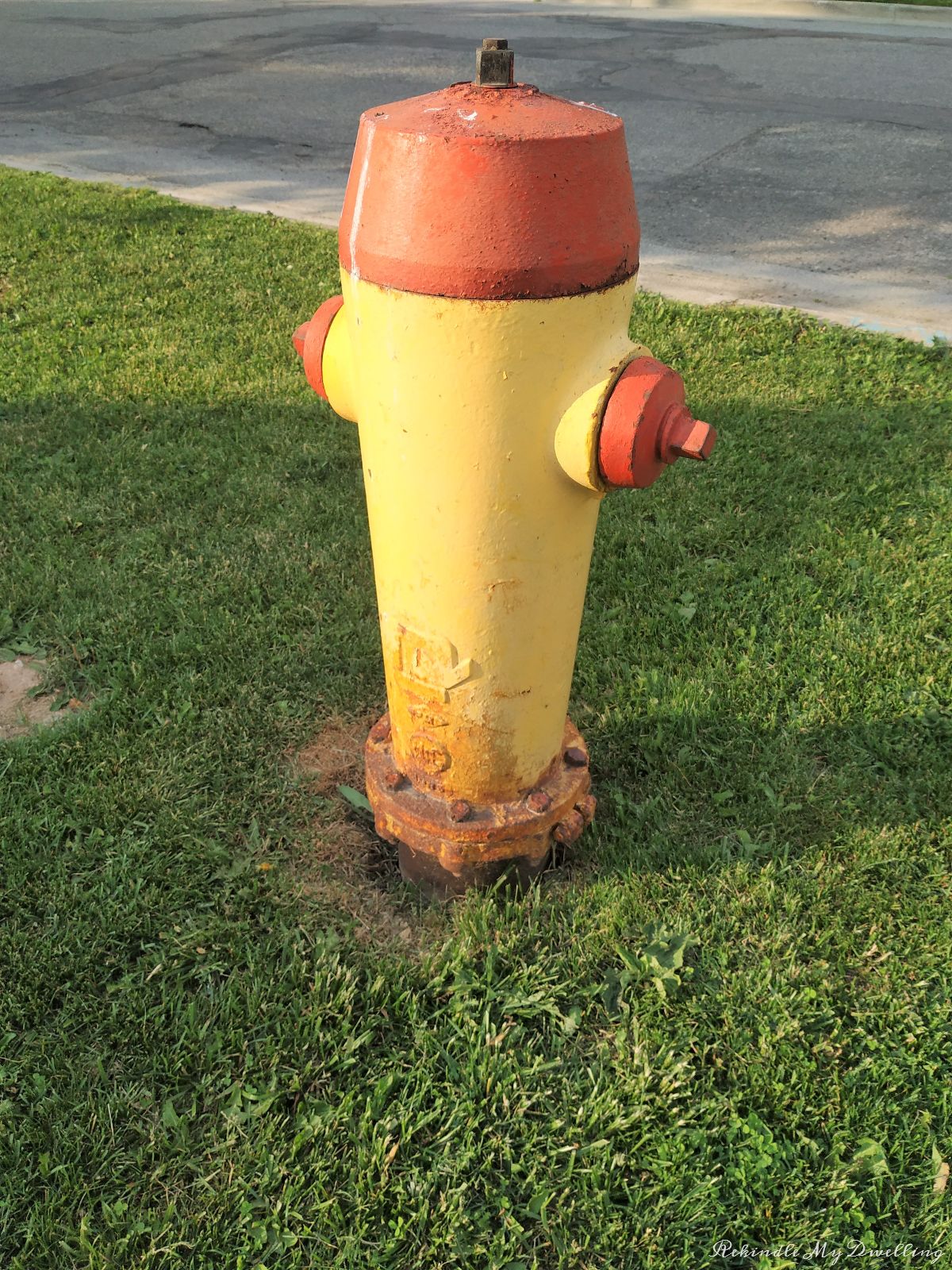 Yellow and red fire hydrant.