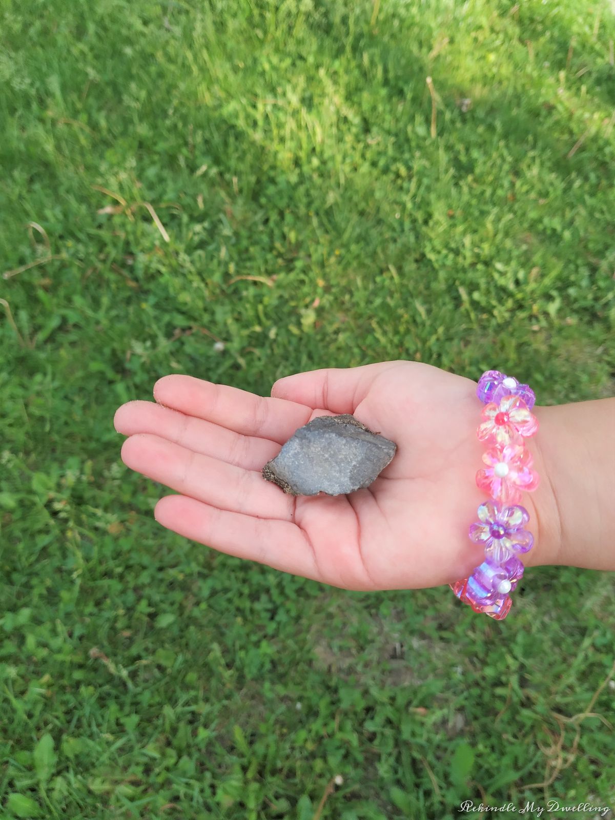 A hand holding a rock.