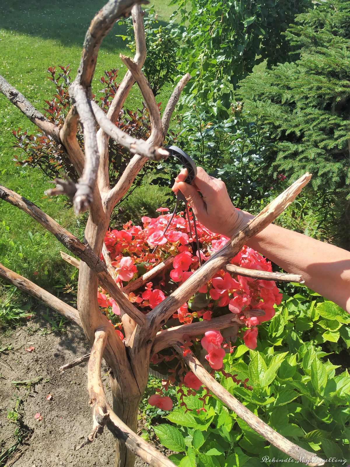 Adding a hanging basket to the branch flower basket holder.