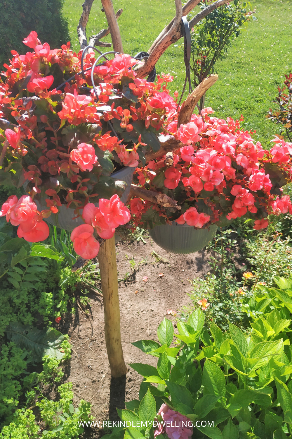 Branch flower basket holder.