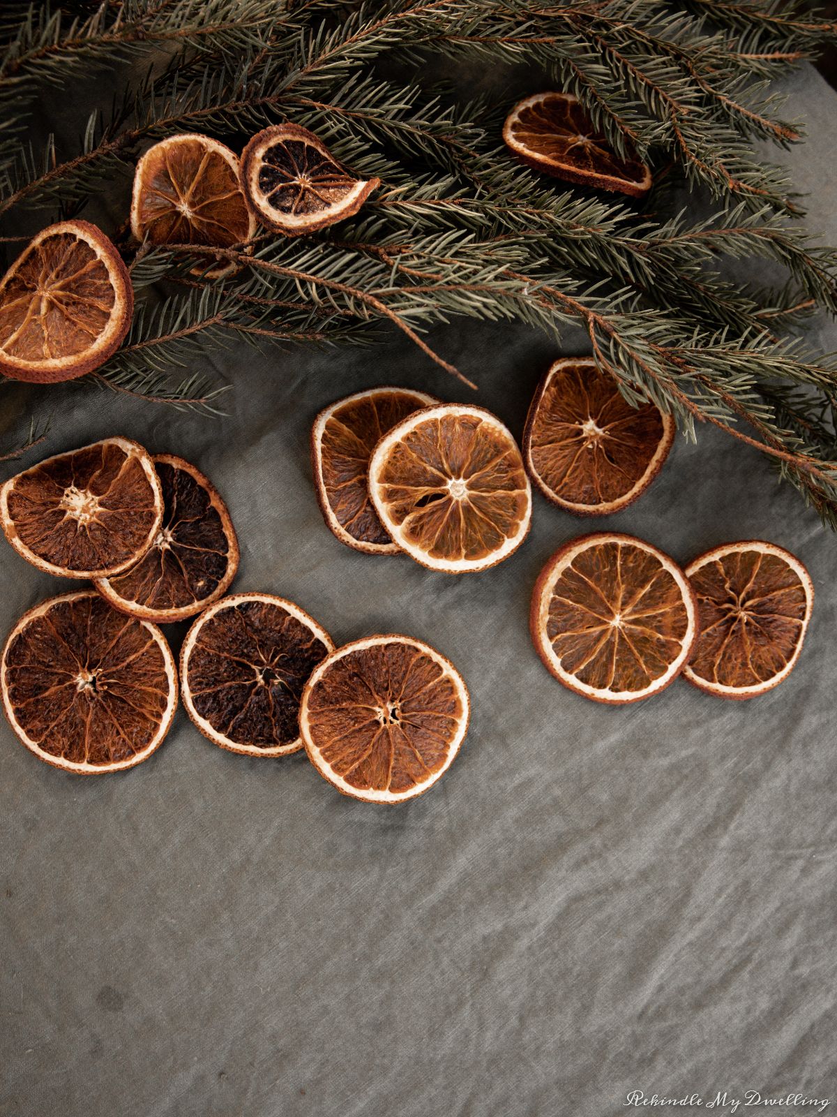 Dried orange slices.