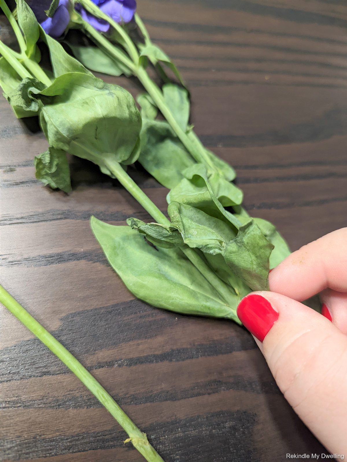 Removing wilted leaves from a flower.