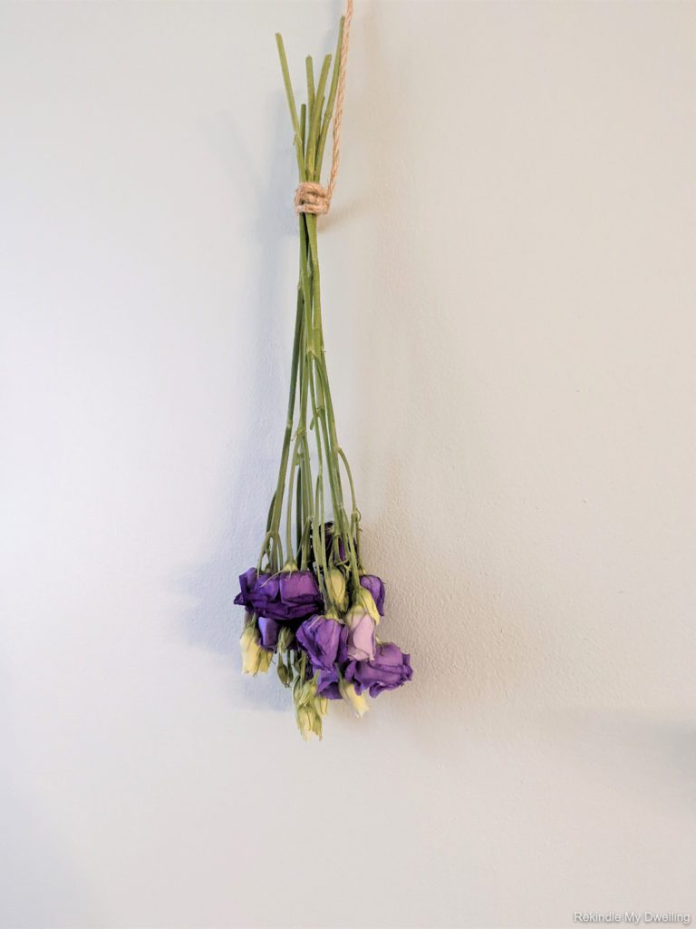 Flowering hanging to dry.